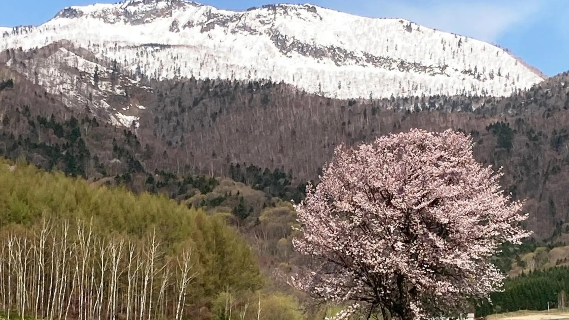 Furano - Hotel / Vacation Stay 35777