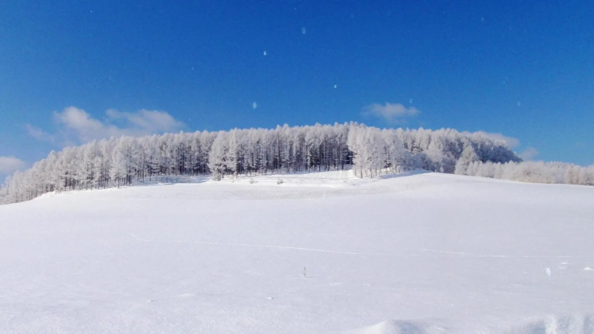 Furano - Hotel / Vacation Stay 35777